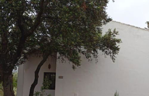 Casas Rurales Cortijo la Cañada - Photo 5