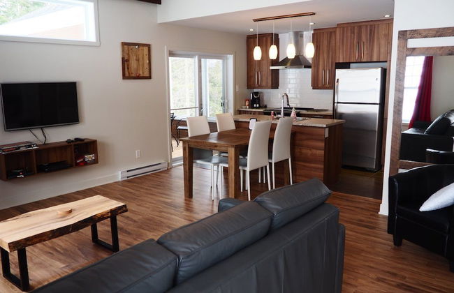 Domaine du parc de la forêt ouareau - Photo 17