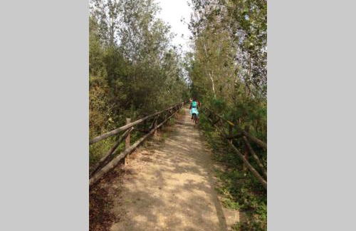 Lo Guaret. - Foto 46