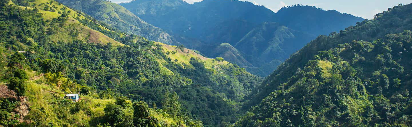 Blue Mountain Coffee Day Trip