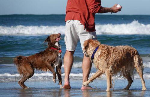 Trackside Tides - DM2925 - Foto 42