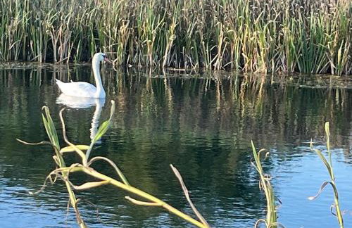 Holiday Home Božica - Photo 53