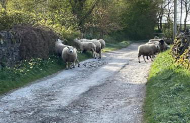 Luxurious Granny House Bell Busk in Malhamdale - Foto 42