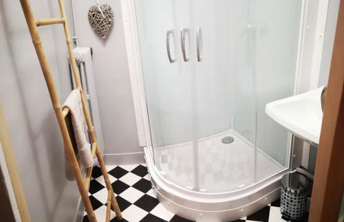 F3 proche centre-ville - Cote Blatin - Foto 12