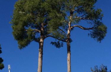 Le petit cassis vue mer appartement 70m2 piscine - Photo 28