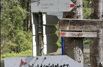 Haus Bergblick - Foto 41