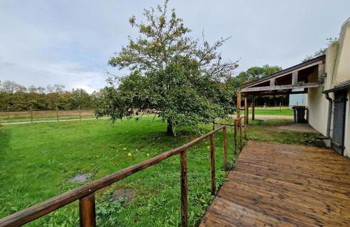 Au charme des bois - Foto 25