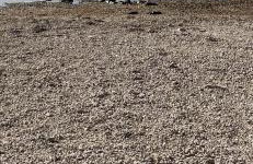 Apartman Kata - Foto 20