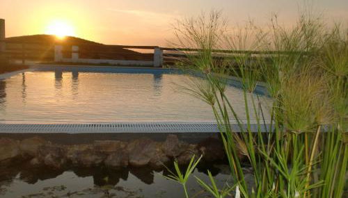 Horta da Quinta - Foto 2