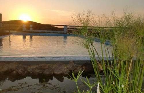 Horta da Quinta - Foto 2