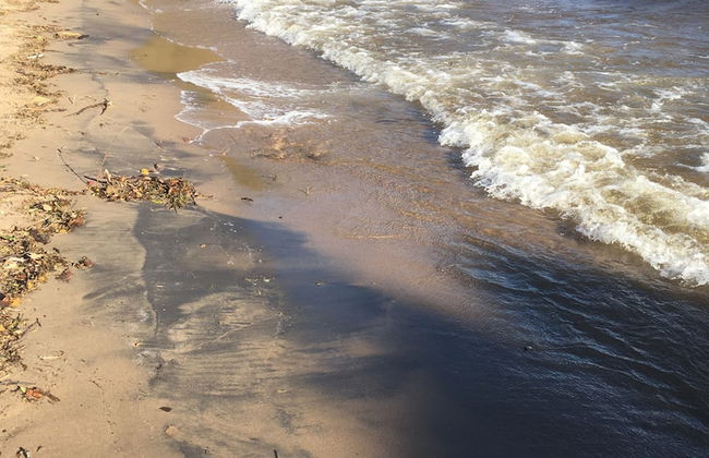 Carraigin Ban - Foto 19