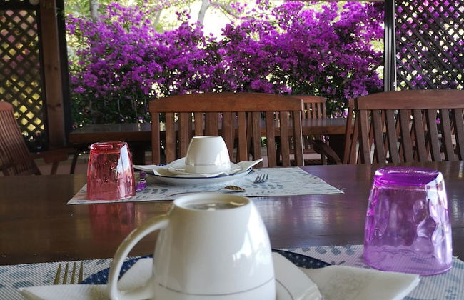 La Tinaia Country House - Photo 50