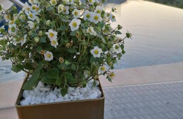 VILLA HALEPOURI - Foto 54