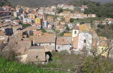 Autenticum Agriturismo Tolfa - Foto 8