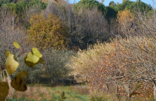 Pian del Pigro - Foto 35