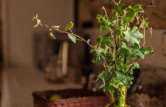 Lugar del Rio - Foto 68