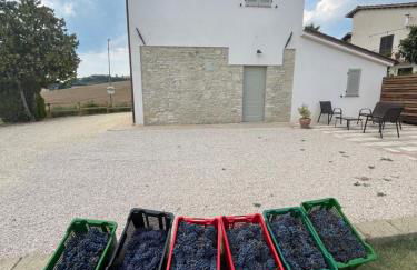 Casa Stefano - Photo 15