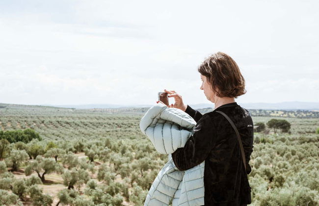 Bailén Oil Mill Tour + Tasting - Foto 3