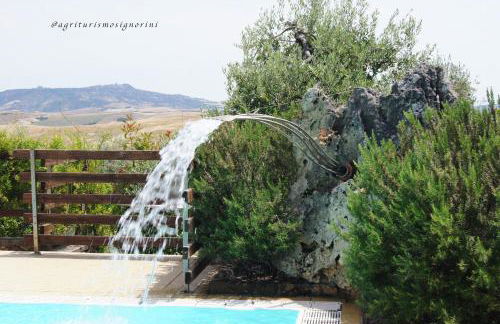 Agriturismo Signorini - Foto 63