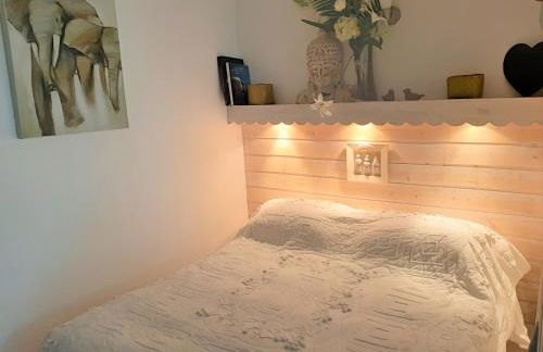 Terra-Crystal - Foto 4