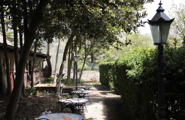 I Templari - Photo 45