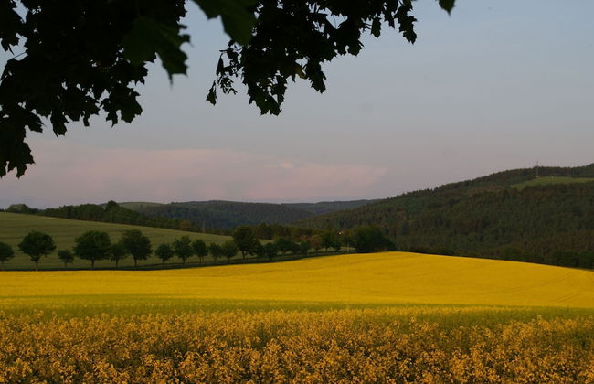 Holiday Home in Rechenberg Near Ski Area - Foto 20