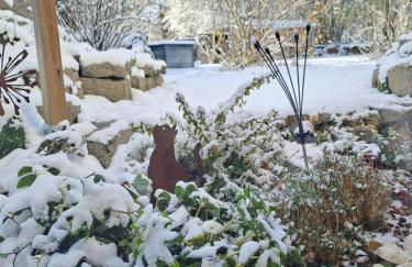 Schwarzwaldmarie - Foto 47