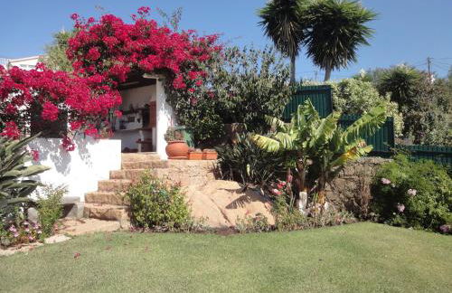 Orchidea Terrace - Foto 19