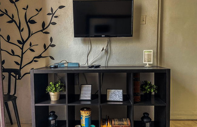 Gladiolas 2201 - Foto 12