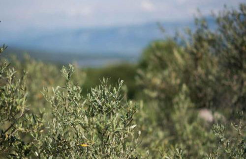 Apartment in Vrbnik - Insel Krk 45248 - Foto 12