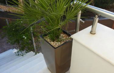 Creta Galini House - Foto 19