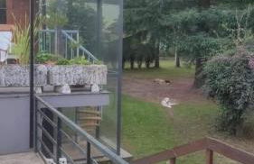 Cabana Monte do Castro - Foto 28