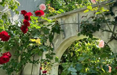 Villa Rosengarten auf der Sonneninsel Fehmarn - Photo 11