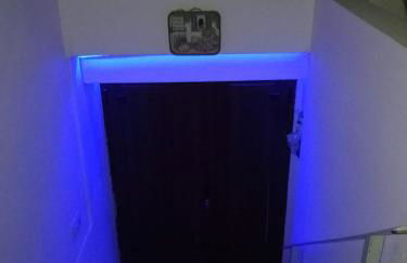 Le camelie - Foto 24