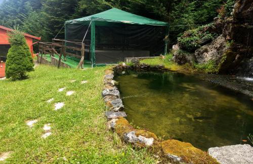 ECO VILLA OLYMPUS with sauna and swimming pool - Foto 41