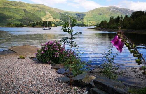 View of the Mountain - Foto 29