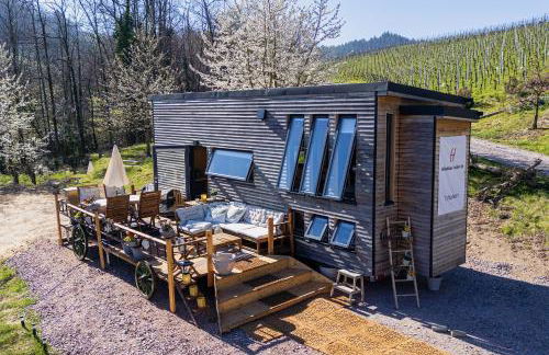 Weingut und Ferienhof Josef Huber - Foto 8