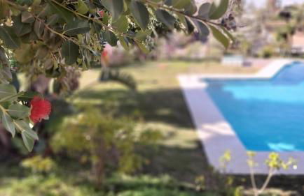 Interpares Terrace by Del Parque Flats - Photo 44