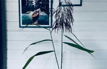 Waterview - Schwimmendes Ferienhaus auf dem Wasser mit Blick zur Havel, inkl Motorboot zur Nutzung - Foto 8