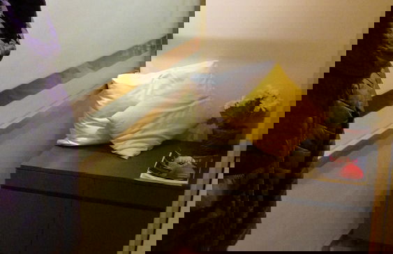 House Rouge - Foto 16