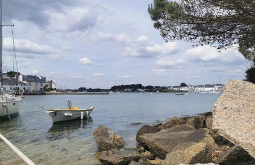 La maison Kerserho - Foto 8