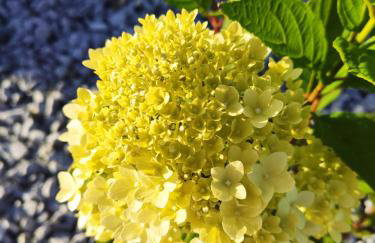 MIODOWA SADYBA Domki całoroczne Kluczbork - Foto 69