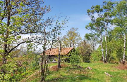 Zur alten Bäckerei - Finsterbergen - Foto 30