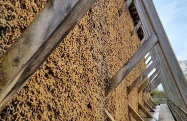 Ferienwohnung direkt am Kurpark mit Gradierwerk Solestadt - Foto 14