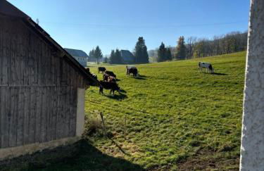 Jolie maison à la montagne - Foto 8