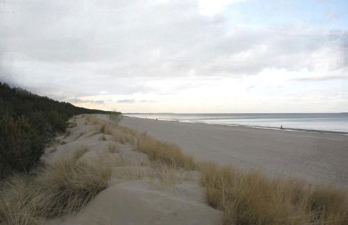 Ferienhaus Rubin mit Sauna und Kamin, Reetdachhaus am Walde - Foto 13