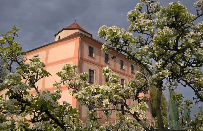 Schloß Schönberg - Foto 31