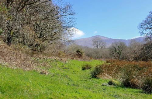 Tryfan - Uk6628 - Photo 18