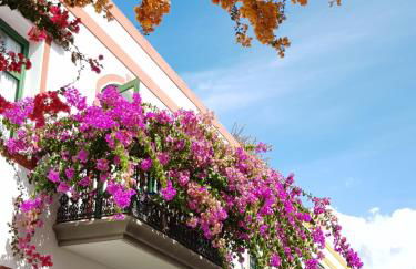 Villa Diana with private swimming pool in Tauro - Foto 46