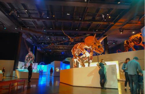 The Bishop's Haven - Foto 28